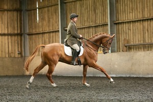 Isis Dressage Crown Farm Show 29th April 2012